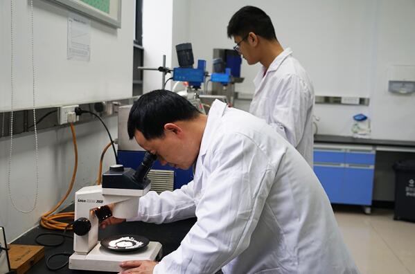 綿竹 搶占新質(zhì)生產(chǎn)力“新賽道”，以技術(shù)開發(fā)驅(qū)動高質(zhì)量發(fā)展加速度